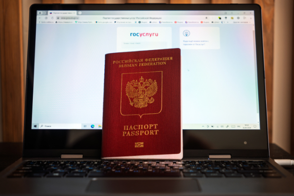 Домены .ru и Госуслуги: переходный период до 18.01.2027